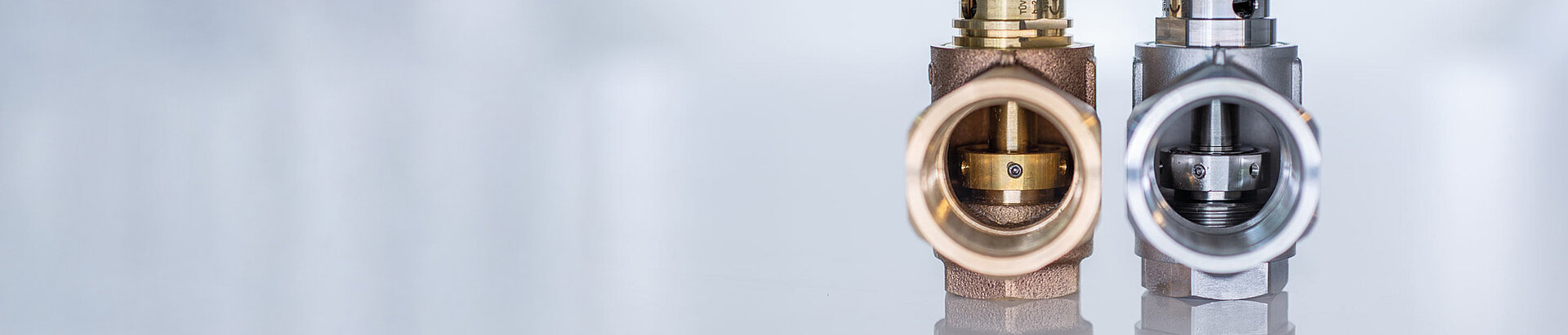 Teile eines CERTUSS Dampferzeugers