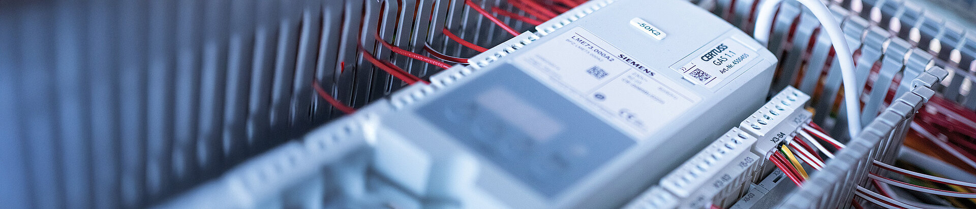 Steuereinheit eines Dampferzeugers